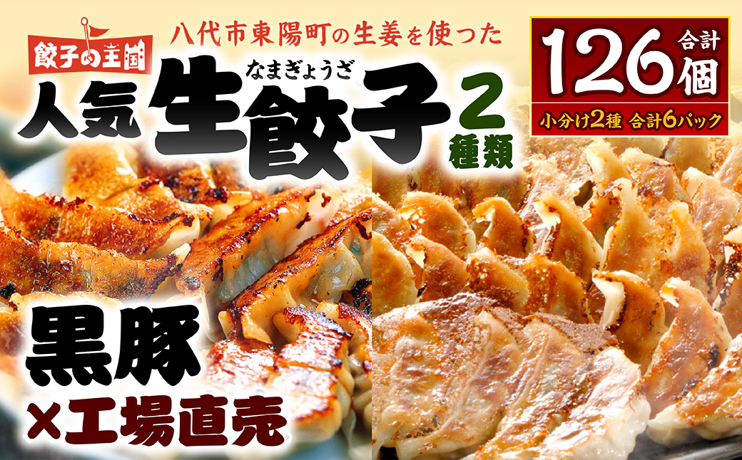 熊本県八代市のふるさと納税 【順次発送】 八代市東陽町の生姜を使った 餃子の王国 人気生餃子126個 ぎょうざ ギョウザ