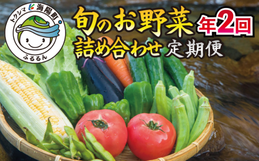 【定期便年２回】阿波の国海陽町　旬のお野菜