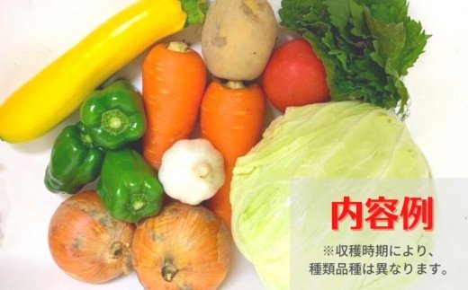 徳島県海陽町のふるさと納税 阿波の国海陽町　旬のお野菜詰め合わせセット２-３名様向け