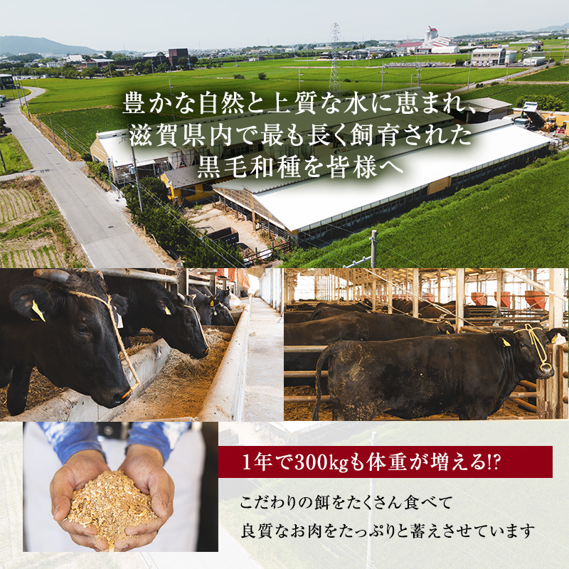 滋賀県豊郷町のふるさと納税 近江牛 すき焼き 約400g A5 雌牛 モモ・カタ・ウデ・バラ系等 西川畜産 牛肉 黒毛和牛 すきやき すき焼き肉 すき焼き用 肉 お肉 牛 和牛