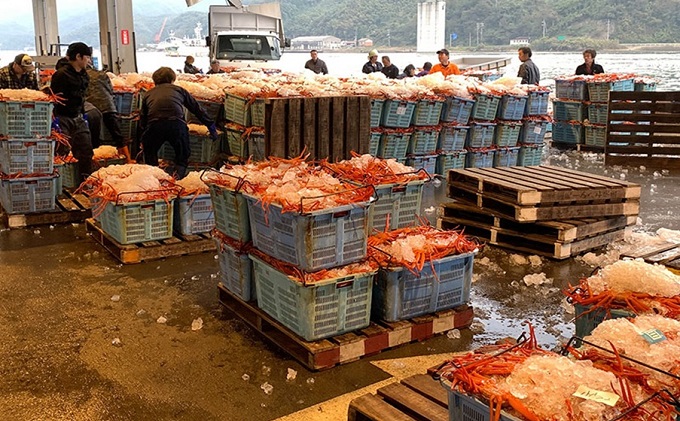 富山県射水市のふるさと納税 現役漁師が直接つくる富山湾と日本海の干物セット(梅)