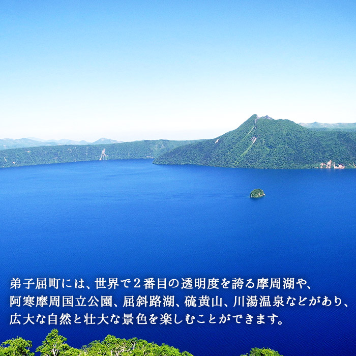 北海道弟子屈町のふるさと納税 年内配送 12月15日まで受付 1259.訳あり うに チリ産 冷凍 200g ワケあり ウニ チリ産 冷凍 雲丹 不揃い B級品 うに わけ あり 海鮮 4人前 丼 刺身 自宅用 送料無料 北海道 弟子屈町