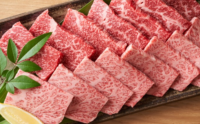 博多 和牛 焼肉 セット 500g【配送不可：離島】（福岡県朝倉市） | ふるさと納税サイト「ふるさとプレミアム」