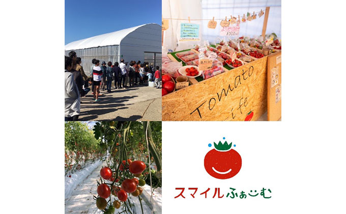 トマトジュース詰め合せセット 岐阜県海津市 ふるさと納税サイト ふるさとプレミアム