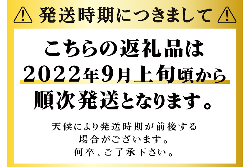 訳あり 山梨県産 シャインマスカット 粒 約1kg / 果樹丸園 / 山梨県 中央市 / 山梨県中央市 | セゾンのふるさと納税