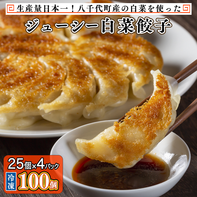 2021新入荷 白菜 1 2 福岡産 国内産r