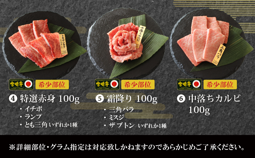 宮崎県美郷町のふるさと納税 【宮崎牛】 特選 食べ比べ 焼肉 6種盛り 600g [SHINGAKI 宮崎県 美郷町 31ag0080] ロース カルビ 赤身 霜降り 特選赤身 中落カルビ 希少 冷凍 内閣総理大臣賞受賞 宮崎県産 九州産 送料無料 焼肉 BBQ バーベキュー キャンプ