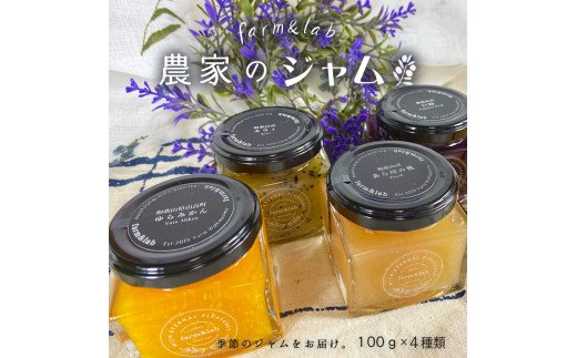 DG6011_和歌山産 果実のジャムセット （100g×4個）
