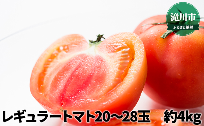 北海道産 レギュラートマト 20～28玉 約4kg＜2024年7月中旬～順次出荷＞｜北海道 滝川市 トマト 野菜 とまと 2024年発送 先行受付 やさい