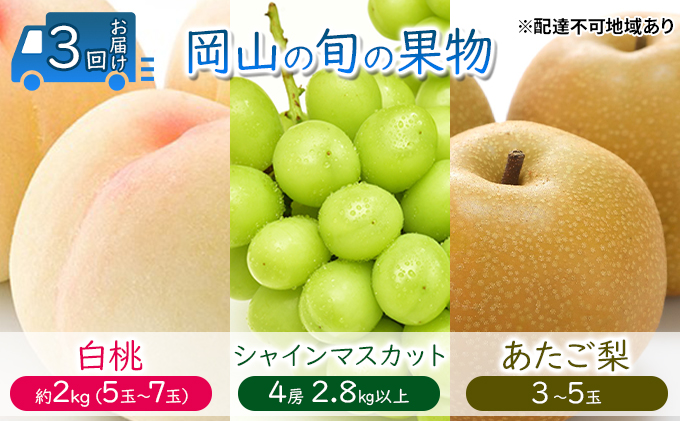 ●先行予約●岡山の旬の果物 3回お届け 白