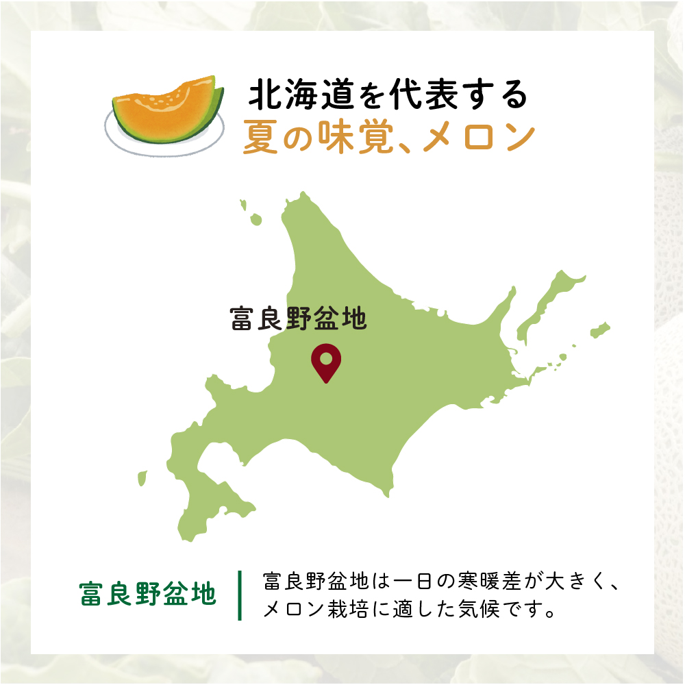 北海道富良野市のふるさと納税 【2025年7月中旬より発送】ふらの 赤肉 メロン 約1.6kg×2玉 北海道 富良野市 (JAふらの) メロン フルーツ 果物 新鮮 甘い 贈り物 ギフト 道産 ジューシー おやつ ふらの ブランド 夏