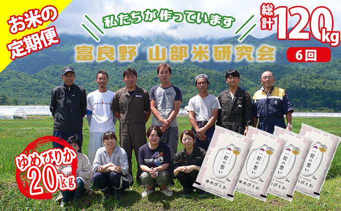 ◆6ヶ月定期便◆ 富良野 山部米研究会【 ゆめぴりか 】精米 5kg×4袋（20kg）