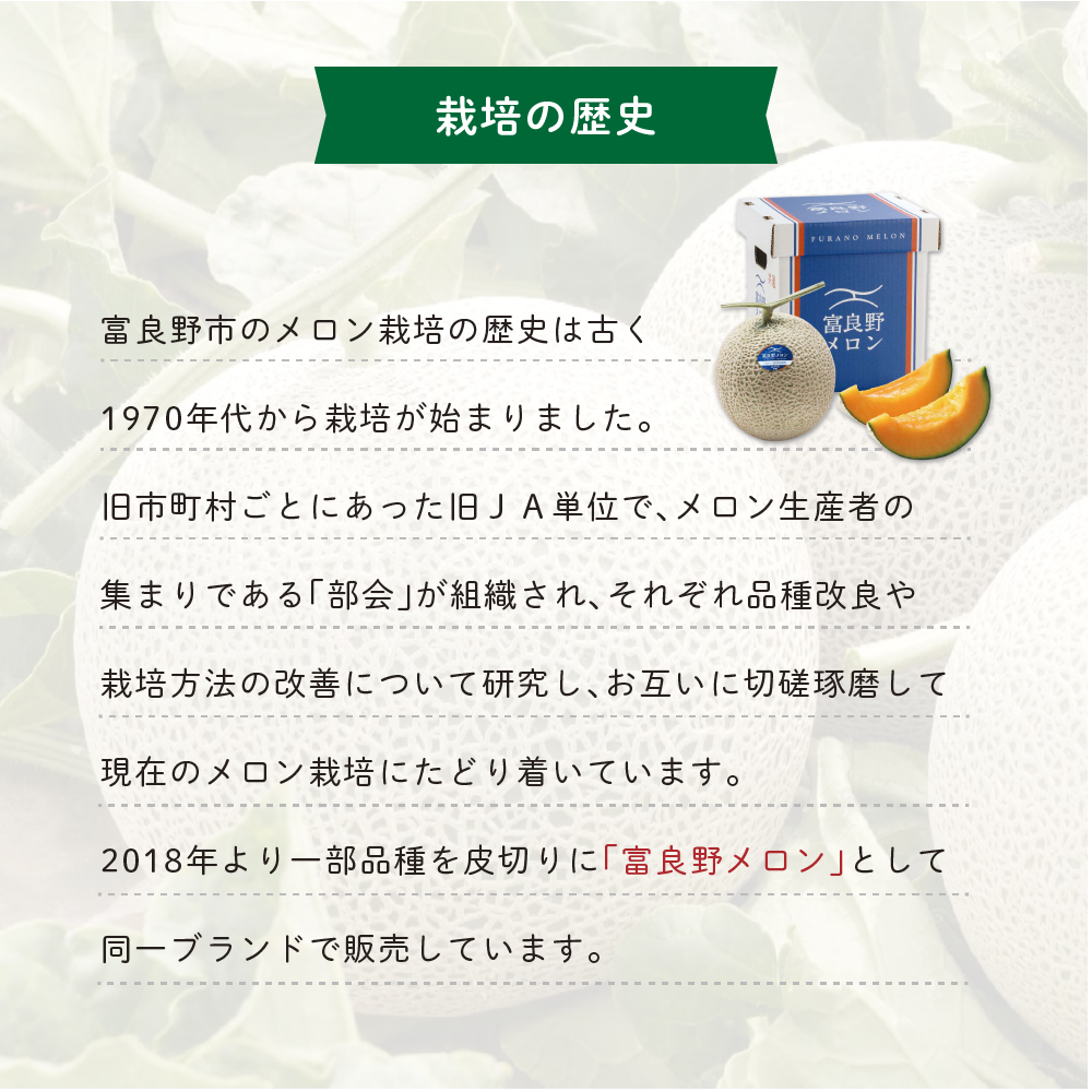 北海道富良野市のふるさと納税 【2025年7月中旬より発送】ふらの 赤肉 メロン 約1.6kg×2玉 北海道 富良野市 (JAふらの) メロン フルーツ 果物 新鮮 甘い 贈り物 ギフト 道産 ジューシー おやつ ふらの ブランド 夏