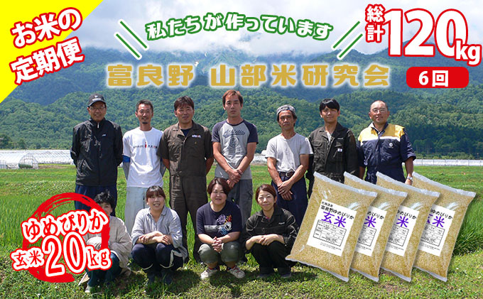 ◆6ヶ月定期便◆ 富良野 山部米研究会【 ゆめぴりか 】玄米 5kg×4袋（20kg）