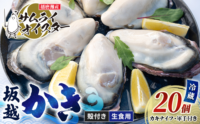 牡蠣 生食 坂越かき 殻付き28個 牡蠣ナ