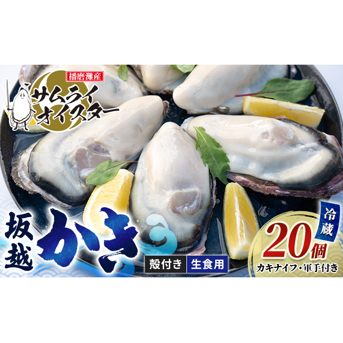 牡蠣 生食 坂越かき 殻付き28個 牡蠣ナイフ・軍手付き サムライオイスター 生牡蠣