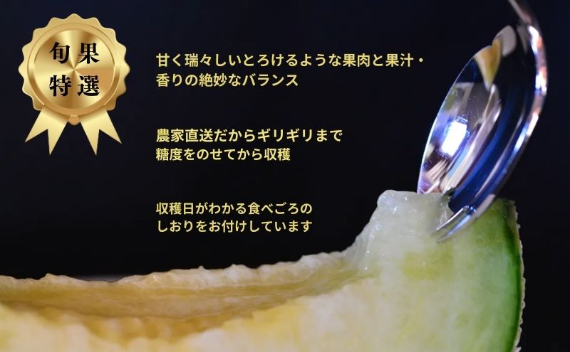 静岡県袋井市のふるさと納税 【先行予約】温室育ちのマスクメロン 冬果 特選 1玉 人気 厳選 ギフト 贈り物 デザート グルメ フルーツ 果物 袋井市