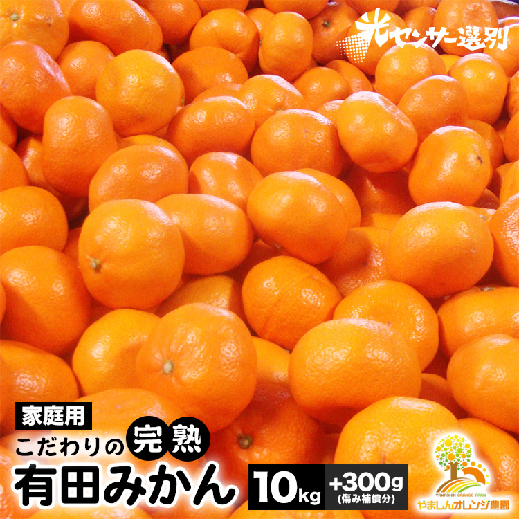 ＼光センサー選別／こだわりの完熟有田みかん 約10kg 【ご家庭用】 ◇ふるさと納税 みかん 有機質肥料100%
※2024年11月中旬～2025年1月上旬頃に順次発送予定
※北海道・沖縄・離島への配送不可