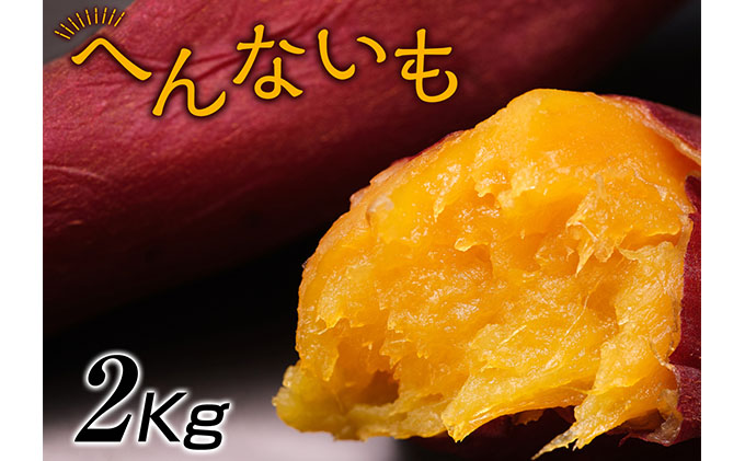 滋賀県湖南市のふるさと納税 『へんないも屋』一口サイズの熟成焼き芋2kg（シルクスイート使用）