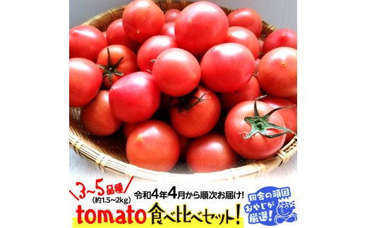 tomato食べ比べセット3〜5種類・約1.52kg[令和4年4月から順次お届け]田舎の頑固おやじが厳選! [BI181-NT]