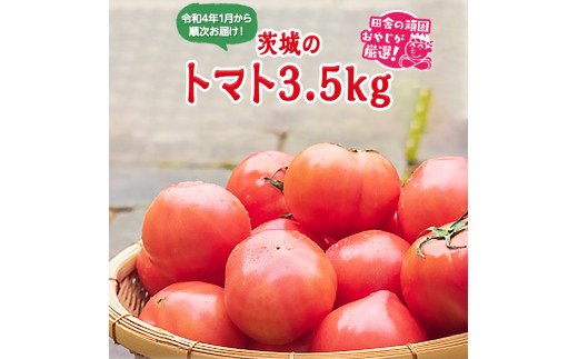 茨城のトマト3.5kgセット[令和4年1月から順次発送]田舎の頑固おやじが厳選! [BI169-NT]