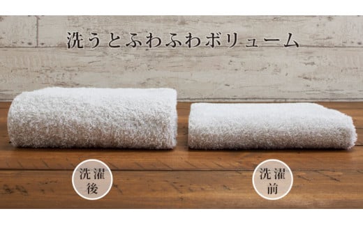 大阪府泉南市のふるさと納税 吸水力 と 肌触り が 自慢 の デイリーユース バスタオル ライトグレー 4枚【039D-183】