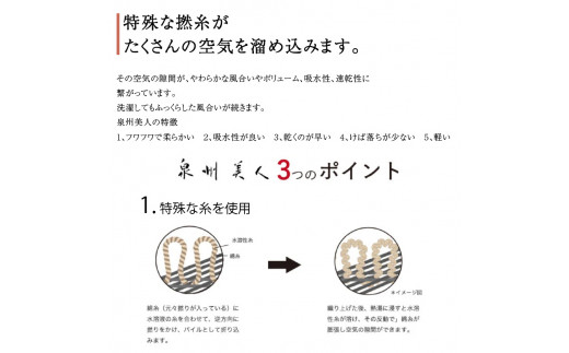 大阪府泉南市のふるさと納税 【泉州タオル】泉州美人バスタオル２枚【039D-221】