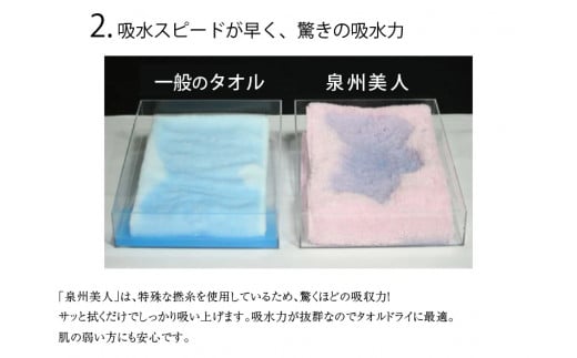 大阪府泉南市のふるさと納税 【泉州タオル】泉州美人バスタオル２枚【039D-221】