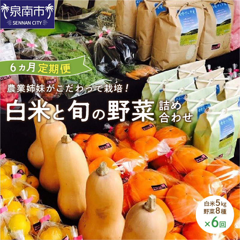 農業姉妹がこだわって栽培！白米5kgと旬の野菜詰め合わせ8種 半年定期 