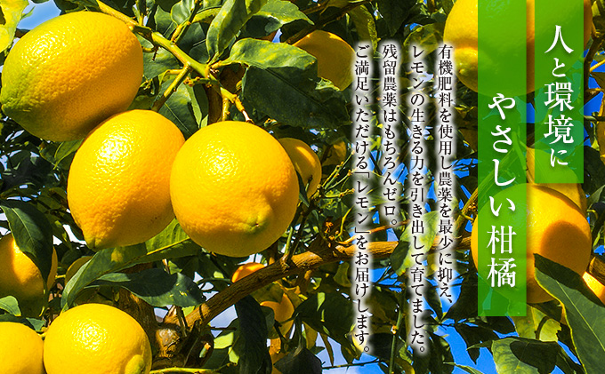 B173 21 期間 数量限定 ネイバーフッドのレモン 計2 5kg 傷み補償分0g付き フルーツ 果物 柑橘 檸檬 宮崎県日南市 セゾンのふるさと納税