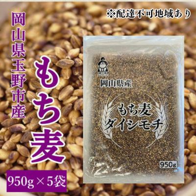 もち麦　ふるさと納税】　岡山県玉野市産　ダイシモチ　950g×5袋　岡山県玉野市　セゾンのふるさと納税