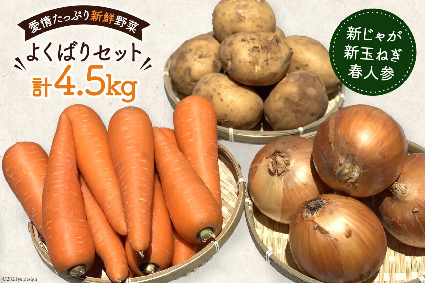 正規通販】 じゃがいも 4.5kg