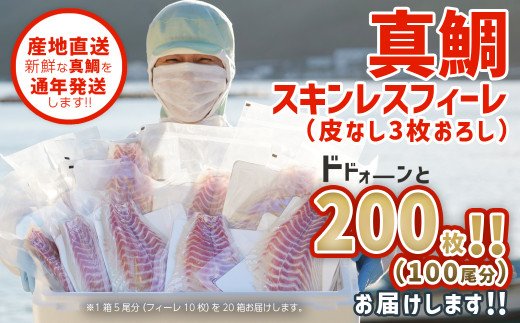 ふかうら真鯛（スキンレスフィーレ）　ドドォーンと２００枚！！（１００尾分）