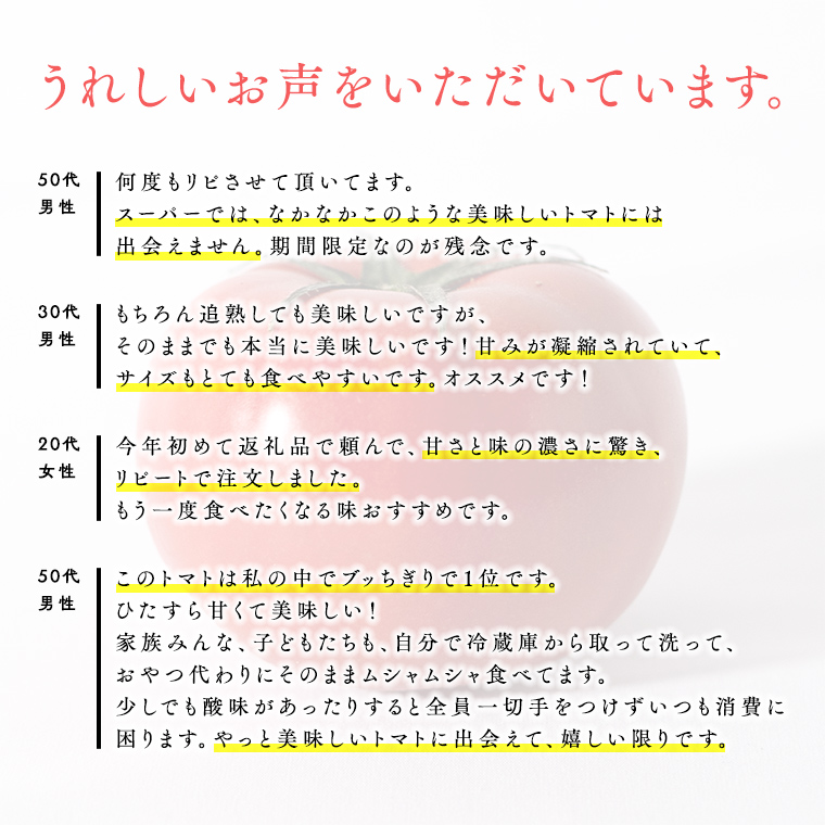 茨城県筑西市のふるさと納税 【 先行予約 】【 3ヶ月 定期便 】 スーパーフルーツトマト 小箱 約800g × 1箱 【大玉7～13玉/1箱】 糖度9度 以上 野菜 フルーツトマト フルーツ トマト とまと [AF046ci]