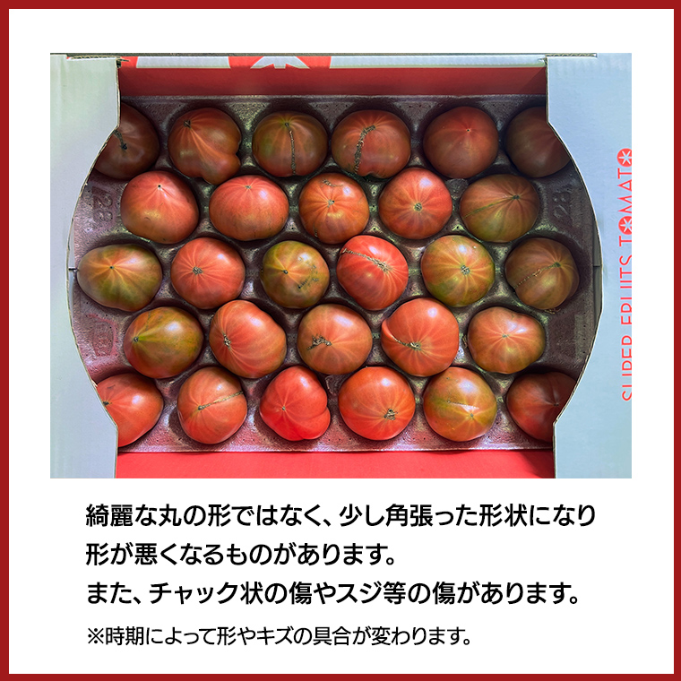 茨城県筑西市のふるさと納税 【 先行予約 】【 訳あり 】 スーパーフルーツトマト 大箱 約2.6kg × 1箱 【大玉 20～35玉】 糖度9度 以上  野菜 フルーツトマト フルーツ トマト とまと [AF055ci]