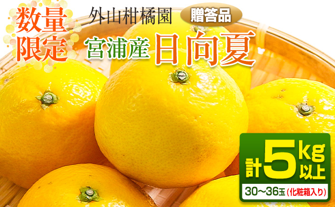 ≪数量限定≫宮浦産日向夏(計5kg以上)　フルーツ　果物　柑橘　みかん　国産 BA55-23|外山柑橘園