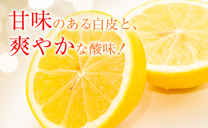 ≪数量限定≫宮浦産日向夏(計5kg以上) フルーツ 果物 柑橘 みかん 国産