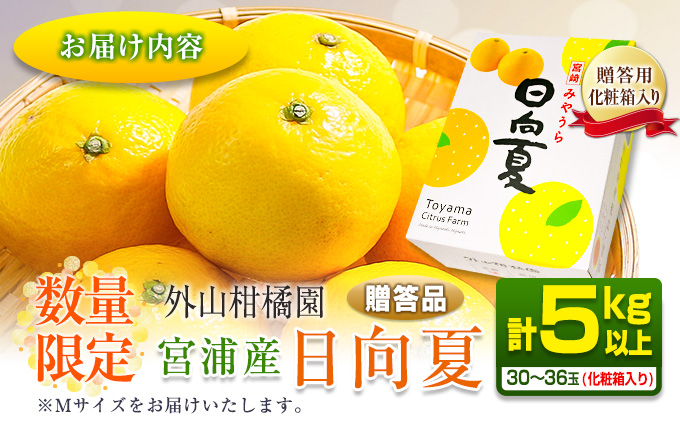 ≪数量限定≫宮浦産日向夏(計5kg以上) フルーツ 果物 柑橘 みかん 国産