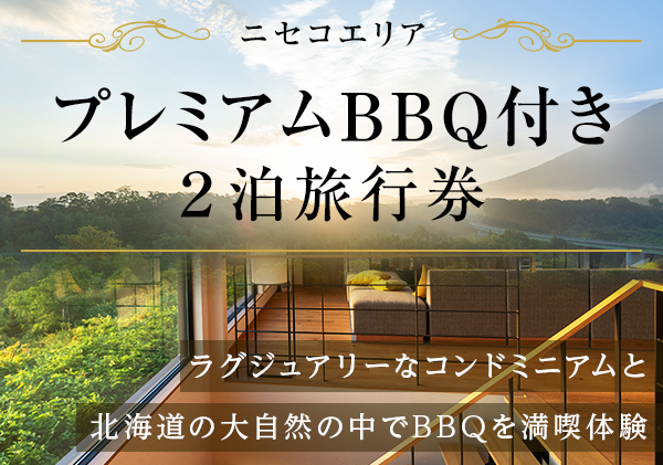 ブライティア ソフト ボックスティッシュ 200組 400枚 60箱 日本製 まとめ買い 日用雑貨 消耗品 生活必需品 備蓄 リサイクル ティッシュ  ペーパー 倶知安町（北海道倶知安町） | ふるさと納税サイト「ふるさとプレミアム」