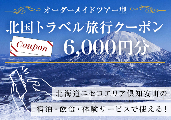 羊蹄山十割そば 180g（4袋） + そばがきセット（2個）セット（北海道倶知安町） | ふるさと納税サイト「ふるさとプレミアム」