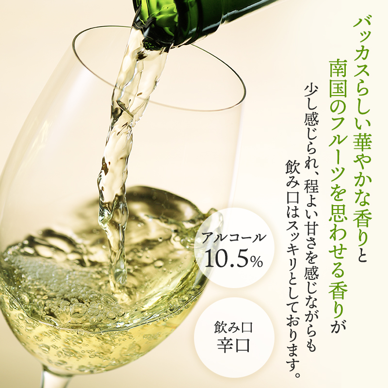 北海道仁木町のふるさと納税 NIKI Hills Winery 白ワイン【 NEIRO 2023 Assemblage 】 750ml ワイン 洋酒