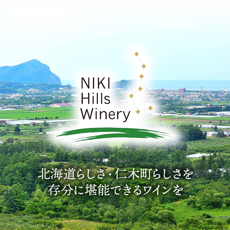 北海道仁木町のふるさと納税 NIKI Hills Winery 白ワイン【 NEIRO 2023 Assemblage 】 750ml ワイン 洋酒