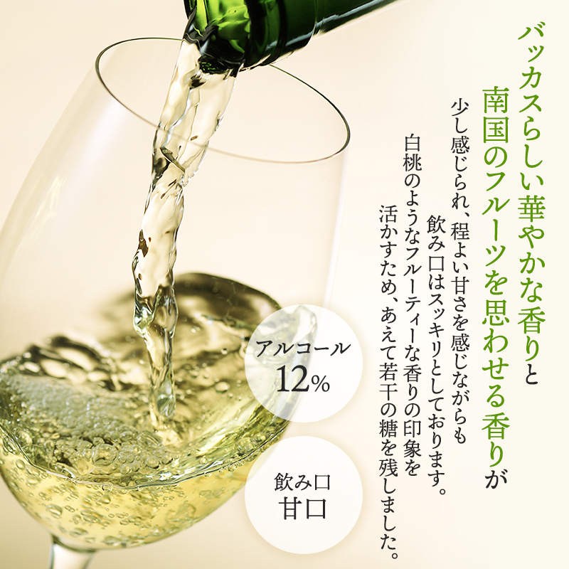 北海道仁木町のふるさと納税 NIKI Hills Winery 白ワイン 【 HATSUYUKI 】 750ml