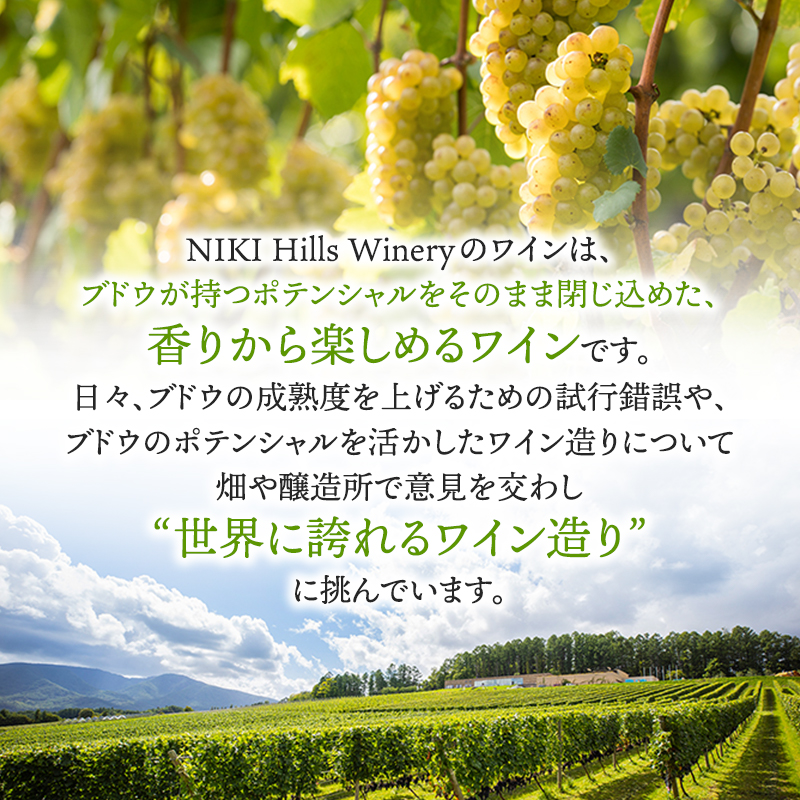 北海道仁木町のふるさと納税 NIKI Hills Winery 白ワイン 【 HATSUYUKI 】 750ml