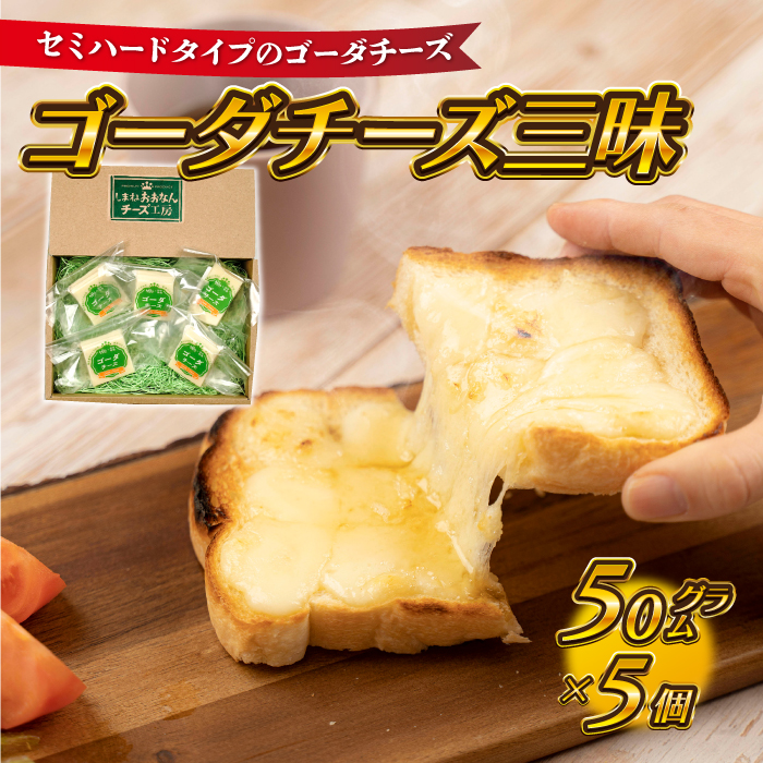 MANASTASH 7924252005388 関税送料込 島根県産】ゴーダチーズ三昧 （50g×5個） / 島根県邑南町