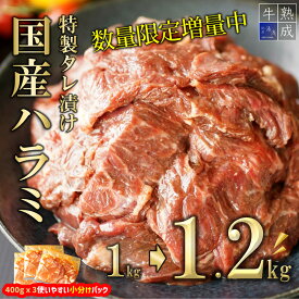 BS6123_【数量限定増量中】湯浅熟成肉