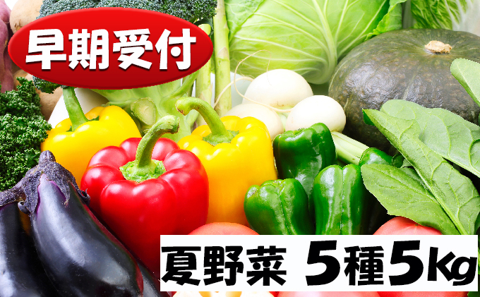 北海道産 あきやまさん家のおすすめ夏野菜5種詰め合わせセット