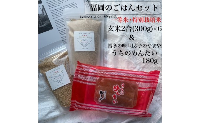 福岡のごはんセット『一等米』農家直送 特別栽培米・ヒノヒカリ 玄米 300g（2合）6×やまや『うちのめんたい 180g』※配送不可：離島
