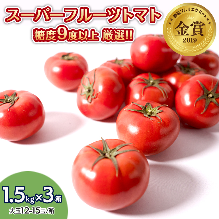 [先行予約]スーパーフルーツトマト中箱 1.5kg×3箱[大玉 12〜15玉/1箱]糖度9度以上[AF066ci]