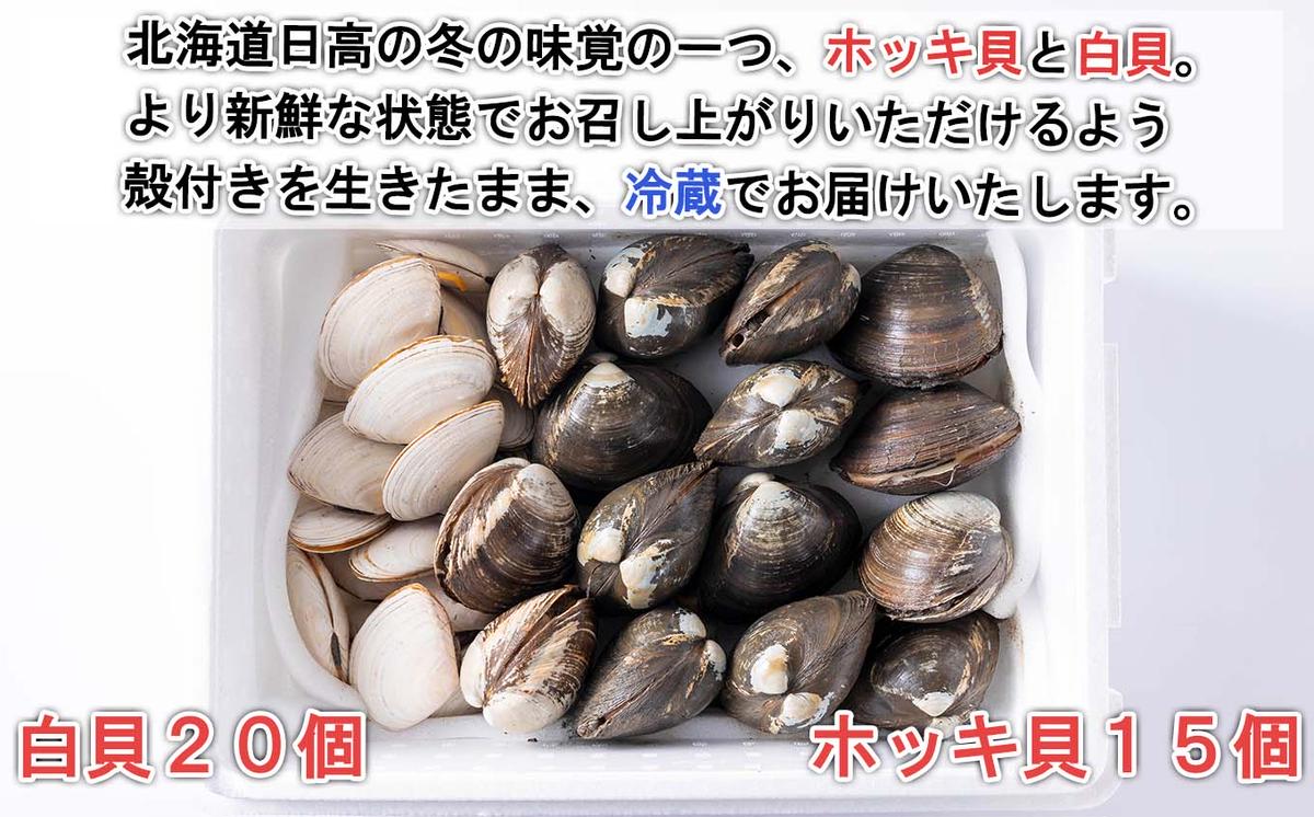 ふるさと納税 新ひだか町 北海道産 活ホッキ貝 20個 - 貝類